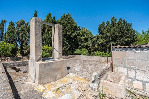 Landejendom i Manacor, Mallorca, Manacor - € 379.000 | Ref: 05LF039/3010 - foto 27