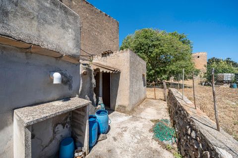 Landejendom i Manacor, Mallorca, Manacor - € 379.000 | Ref: 05LF039/3010 - foto 30