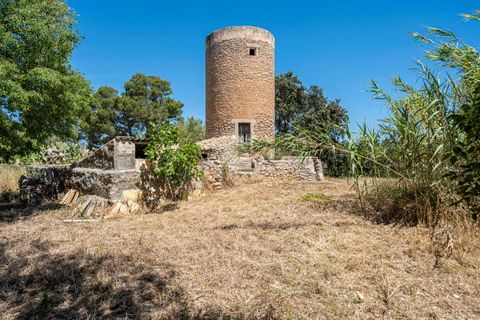 Landejendom i Manacor, Mallorca, Manacor - € 379.000 | Ref: 05LF039/3010 - foto 31