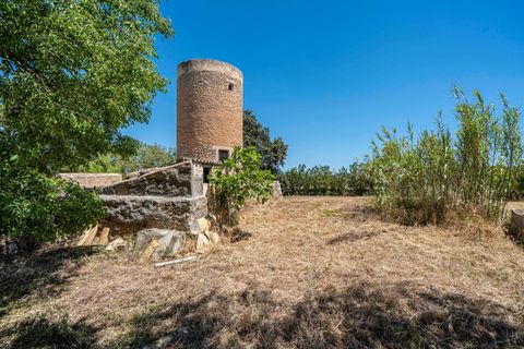 Landejendom i Manacor, Mallorca, Manacor - € 379.000 | Ref: 05LF039/3010 - foto 32