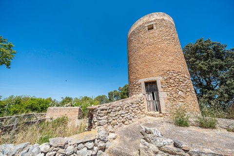 Landejendom i Manacor, Mallorca, Manacor - € 379.000 | Ref: 05LF039/3010 - foto 34