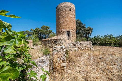 Landejendom i Manacor, Mallorca, Manacor - € 379.000 | Ref: 05LF039/3010 - foto 35