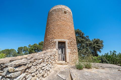Landejendom i Manacor, Mallorca, Manacor - € 379.000 | Ref: 05LF039/3010 - foto 36