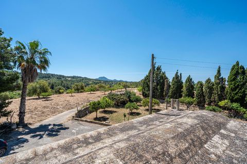 Landejendom i Manacor, Mallorca, Manacor - € 379.000 | Ref: 05LF039/3010 - foto 40