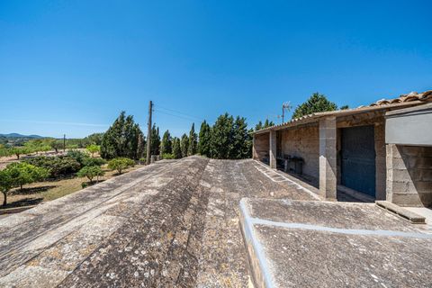 Landejendom i Manacor, Mallorca, Manacor - € 379.000 | Ref: 05LF039/3010 - foto 41