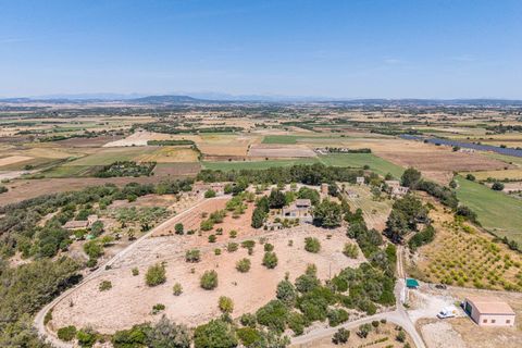 Landejendom i Manacor, Mallorca, Manacor - € 379.000 | Ref: 05LF039/3010 - foto 42