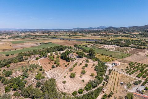 Landejendom i Manacor, Mallorca, Manacor - € 379.000 | Ref: 05LF039/3010 - foto 43