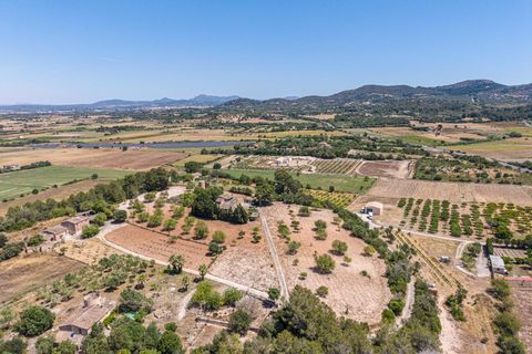 Landejendom i Manacor, Mallorca, Manacor - € 379.000 | Ref: 05LF039/3010 - foto 44