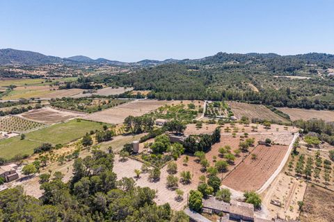 Landejendom i Manacor, Mallorca, Manacor - € 379.000 | Ref: 05LF039/3010 - foto 45