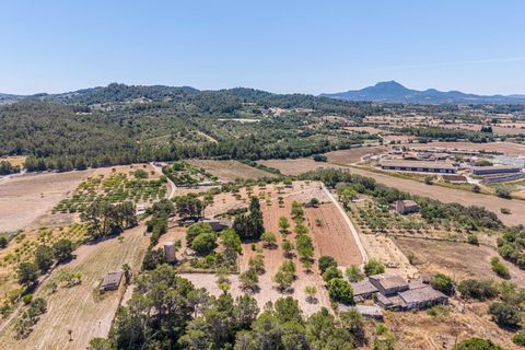Landejendom i Manacor, Mallorca, Manacor - € 379.000 | Ref: 05LF039/3010 - foto 46