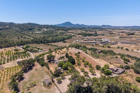 Landejendom i Manacor, Mallorca, Manacor - € 379.000 | Ref: 05LF039/3010 - foto 47
