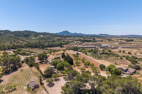 Landejendom i Manacor, Mallorca, Manacor - € 379.000 | Ref: 05LF039/3010 - foto 48