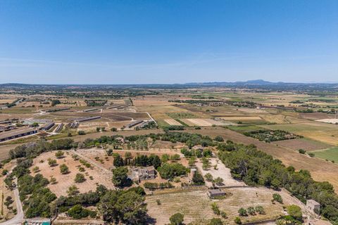 Landejendom i Manacor, Mallorca, Manacor - € 379.000 | Ref: 05LF039/3010 - foto 49