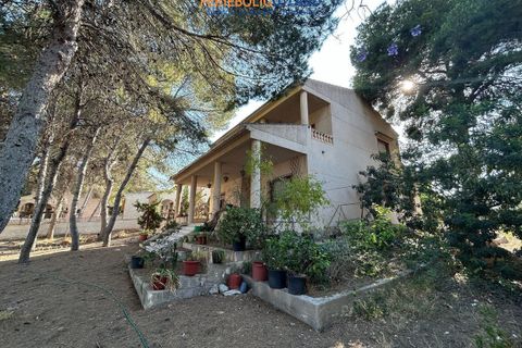 Villa a Torrevieja, Alicante, Torrevieja - € 550.000 | Ref: FBU22066 - foto 42