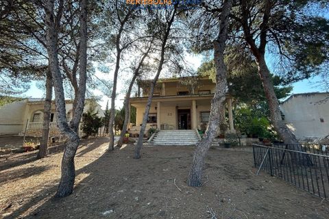 Villa a Torrevieja, Alicante, Torrevieja - € 550.000 | Ref: FBU22066 - foto 43