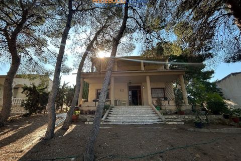 Villa a Torrevieja, Alicante, Torrevieja - € 550.000 | Ref: FBU22066 - foto 44