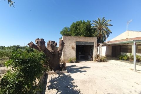 Villa a La Marina, Alicante, La Marina - € 290.000 | Ref: CHA0024 - foto 5