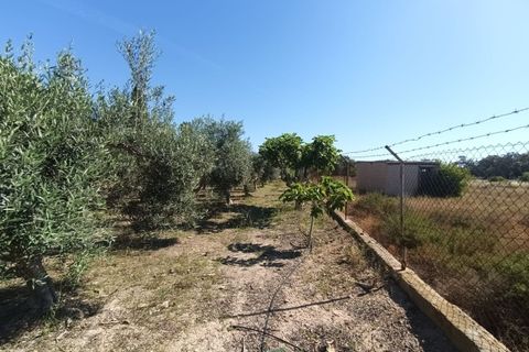 Villa a La Marina, Alicante, La Marina - € 290.000 | Ref: CHA0024 - foto 6