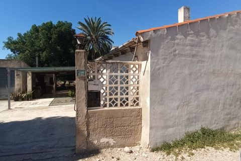 Villa a La Marina, Alicante, La Marina - € 290.000 | Ref: CHA0024 - foto 11