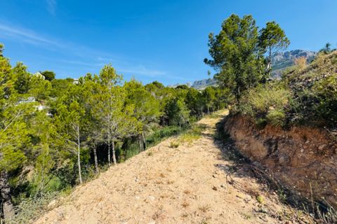 Helårsgrund i Altea, Alicante, Altea - € 179.000 | Ref: Cap9 - foto 21