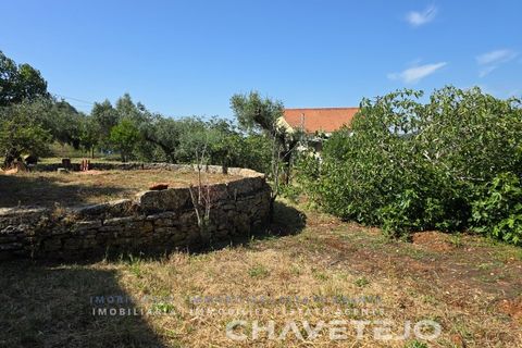 Masia a Tomar, Santarem, Tomar - € 105.000 | Ref: 807/26 - foto 15