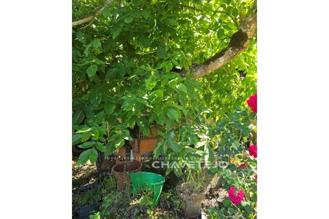 Masia a Tomar, Santarem, Tomar - € 105.000 | Ref: 807/26 - foto 16