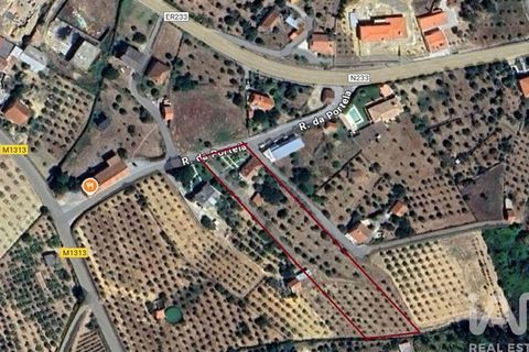 Byhus i Proenca-a-Nova, Castelo Branco, Proenca-a-Nova - € 180.000 | Ref: 923528 - foto 22