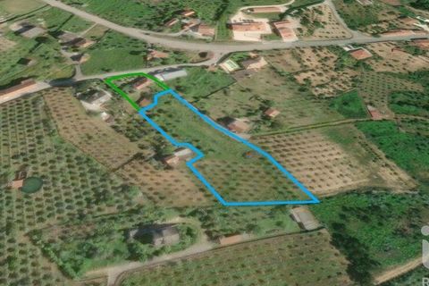Byhus i Proenca-a-Nova, Castelo Branco, Proenca-a-Nova - € 180.000 | Ref: 923528 - foto 23