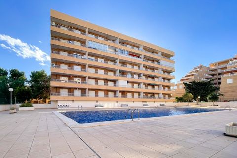 Leilighet i Punta Prima, Alicante, Punta Prima - € 220 000 | Ref: CSPX-32649 - foto 22