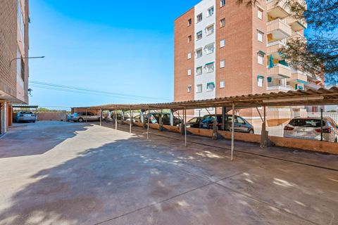 Leilighet i Punta Prima, Alicante, Punta Prima - € 220 000 | Ref: CSPX-32649 - foto 25