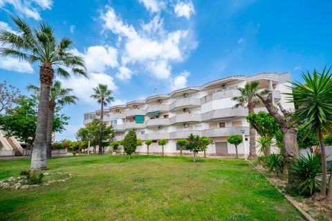 Leilighet i Cabo Roig, Alicante, Cabo Roig - € 149 000 | Ref: CSPX-36473 - foto 25