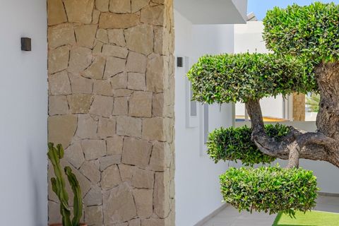 Villa i La Marina, Alicante, La Marina - € 595.000 | Ref: CSPX-48341 - foto 3