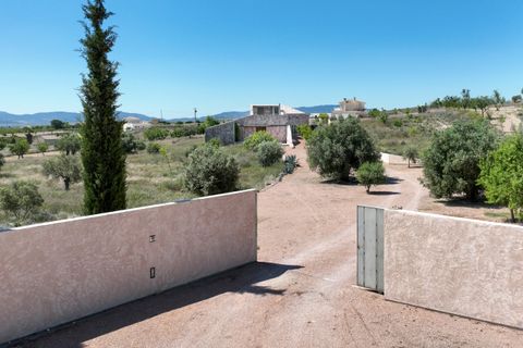 Villa a Pinoso, Alicante, Pinoso - € 699.950 | Ref: IZ-711-EXIZ - foto 7
