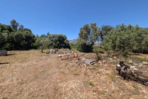 Terra a Parcent, Alicante, Parcent - € 24.000 | Ref: AG26041 - foto 2