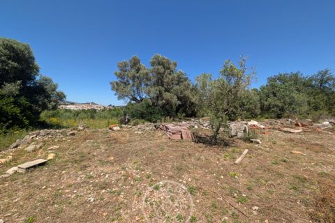 Terra a Parcent, Alicante, Parcent - € 24.000 | Ref: AG26041 - foto 3