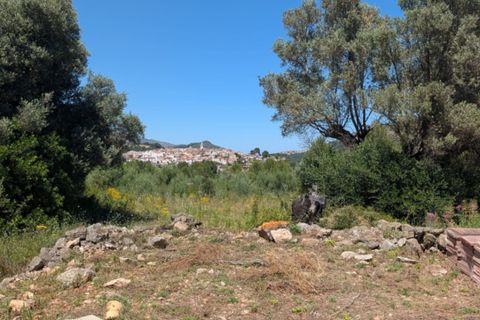 Terra a Parcent, Alicante, Parcent - € 24.000 | Ref: AG26041 - foto 4