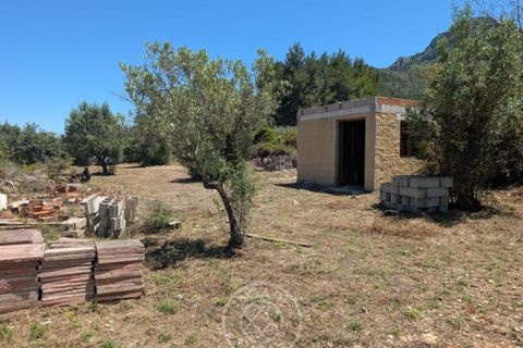 Terra a Parcent, Alicante, Parcent - € 24.000 | Ref: AG26041 - foto 5