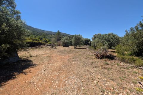 Terra a Parcent, Alicante, Parcent - € 24.000 | Ref: AG26041 - foto 6