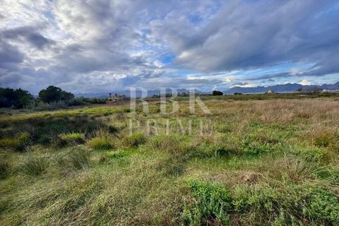 Terra a Alcudia, Mallorca, Alcudia - € 832.000 | Ref: 071676 - foto 4