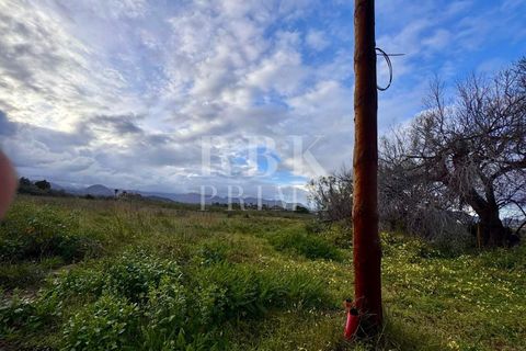 Terra a Alcudia, Mallorca, Alcudia - € 832.000 | Ref: 071676 - foto 5