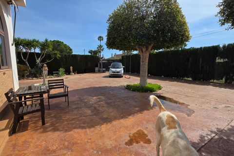 Villa a Algoda, Alicante, Algoda - € 485.000 | Ref: V-0802/388 - foto 26