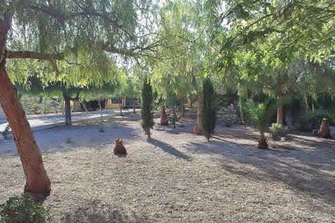 Landejendom i Orihuela, Alicante, Orihuela - € 375.000 | Ref: F49/3390 - foto 24