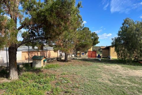 Træhytte i Fortuna, Murcia, Fortuna - € 95.000 | Ref: JESS2204 - foto 3