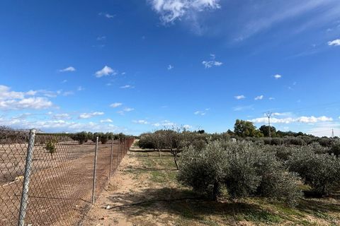 Træhytte i Fortuna, Murcia, Fortuna - € 95.000 | Ref: JESS2204 - foto 11