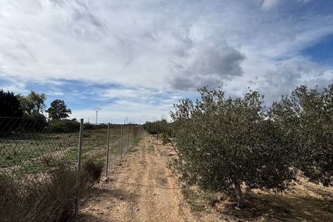 Træhytte i Fortuna, Murcia, Fortuna - € 95.000 | Ref: JESS2204 - foto 12