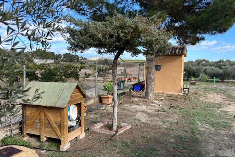 Træhytte i Fortuna, Murcia, Fortuna - € 95.000 | Ref: JESS2204 - foto 13