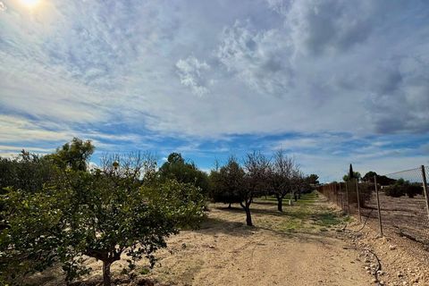 Træhytte i Fortuna, Murcia, Fortuna - € 95.000 | Ref: JESS2204 - foto 18
