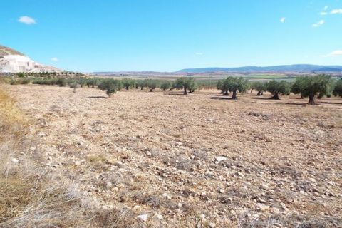 Helårsgrund i Caudete, Albacete, Caudete - € 24.000 | Ref: BM8504 - foto 2