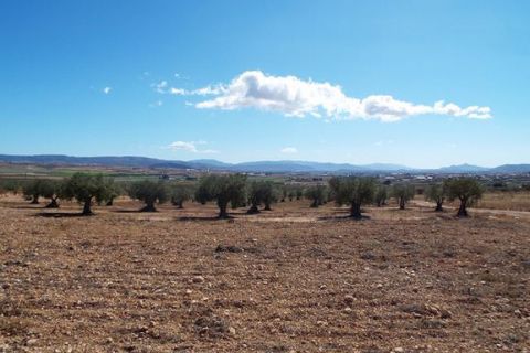 Helårsgrund i Caudete, Albacete, Caudete - € 24.000 | Ref: BM8504 - foto 4