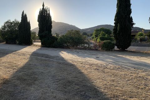 Terra a Aspe, Alicante, Aspe - € 105.000 | Ref: ASP038 - foto 14